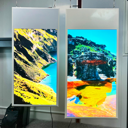 Dynamic window displays